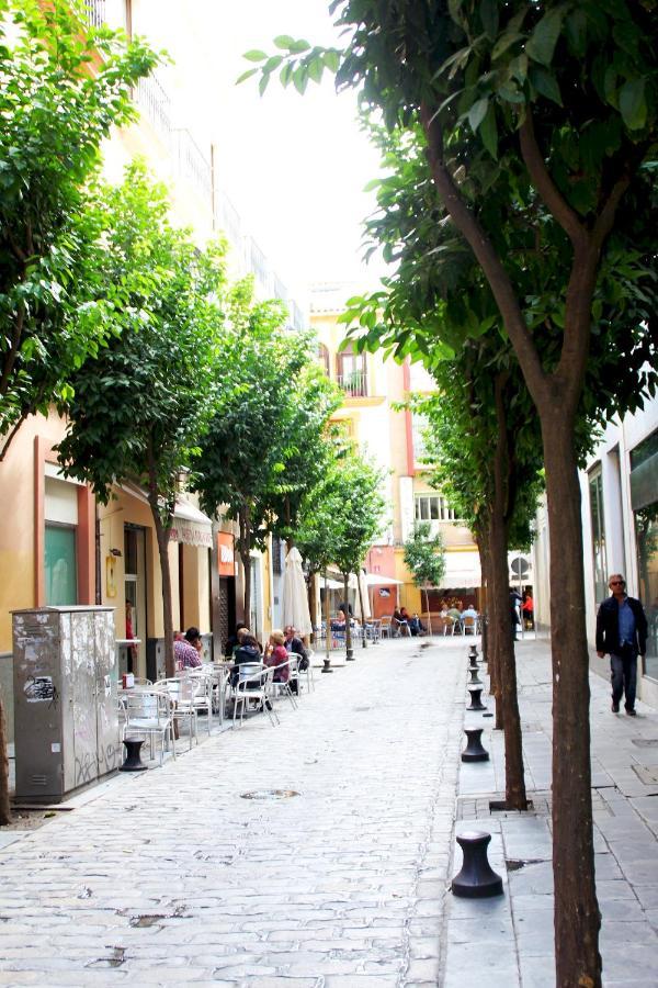 شقة Plaza Nueva Terraza إشبيلية المظهر الخارجي الصورة